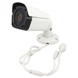 RSS IP-CCTV Camera for IP Lite System