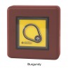AR-737HB-RAY Proximity Reader with Burgundy housing