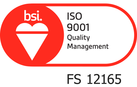 BSi Registered Kite Mark Logo